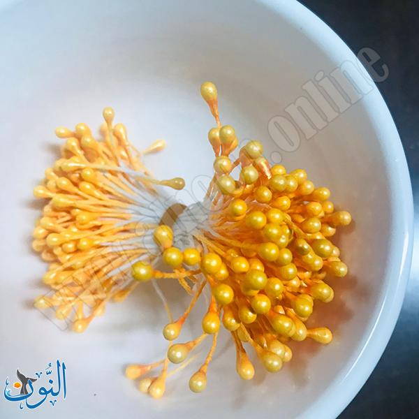 برتقالي